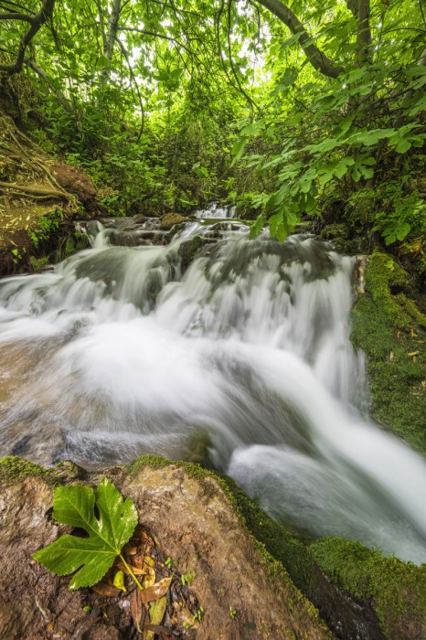דינמיות חוצה גבולות - נחל