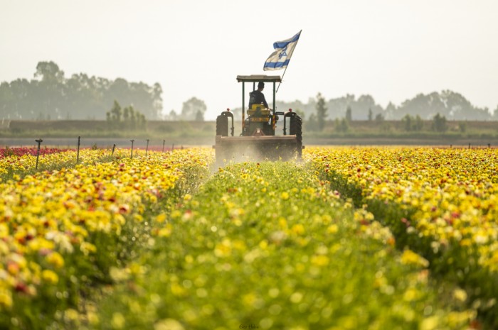 חקלאות ישראלית
