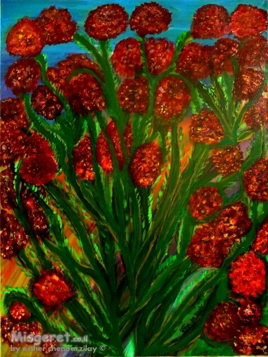 פריחת ארגמן