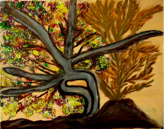 עצים בעין-גדי