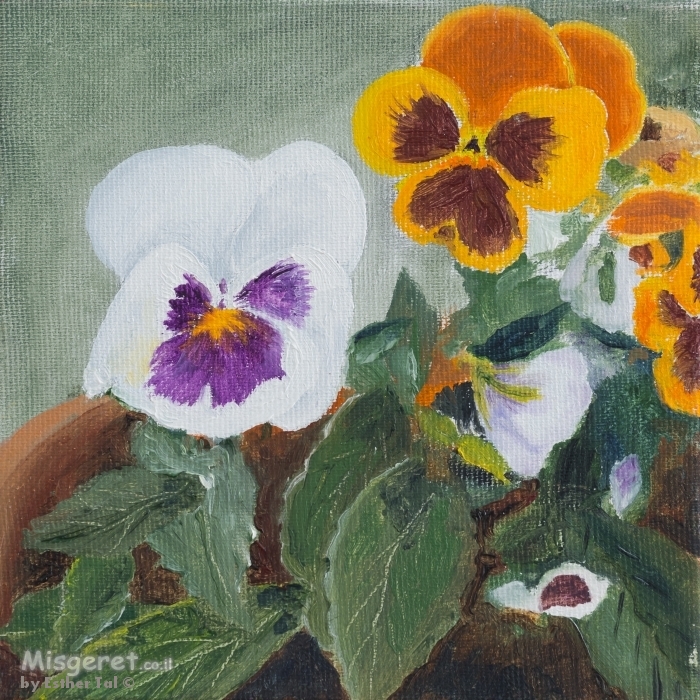 אמנון ותמר 5