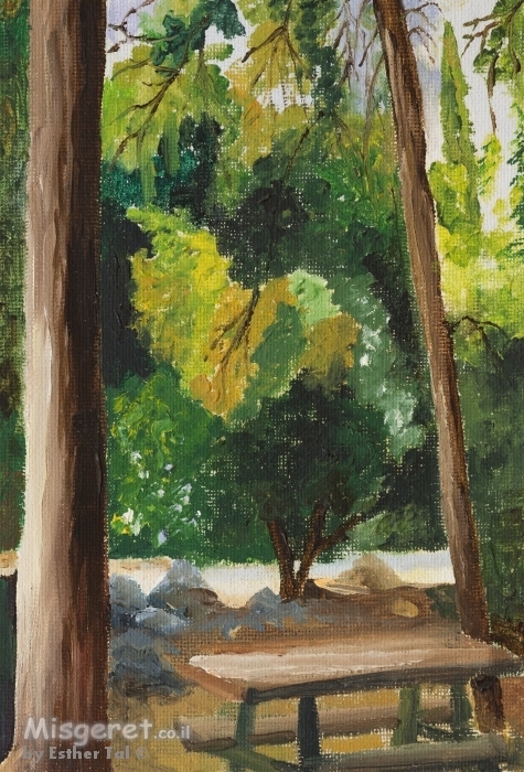 חניוני קקל 2