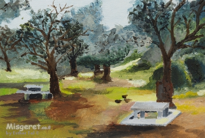 חניוני קקל 5