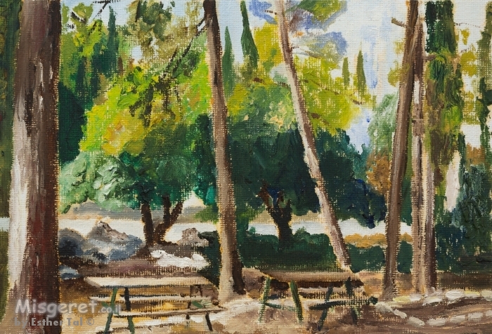 חניוני קקל 6