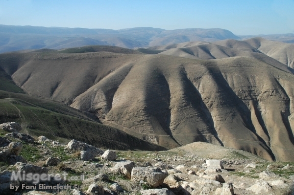 שיפולי הרי פרא