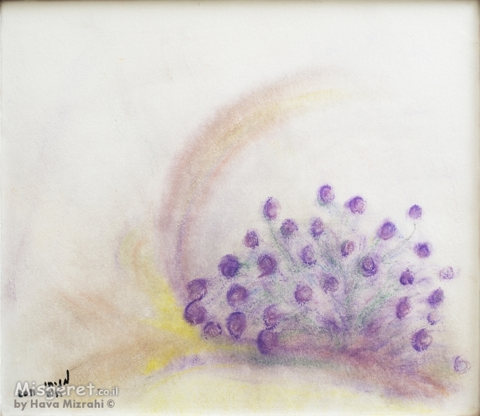 פרחים בסגול