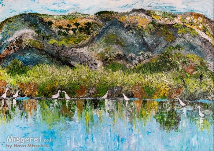 השתקפות עמק החולה