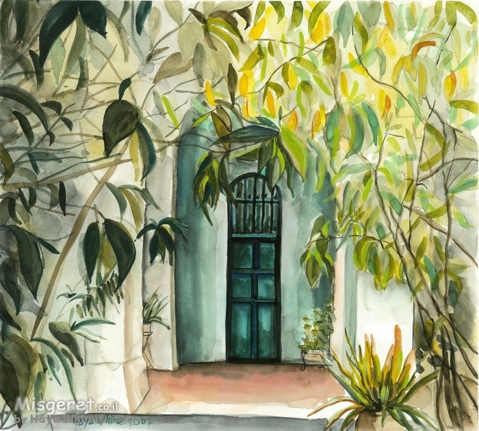 כניסה מוצלת