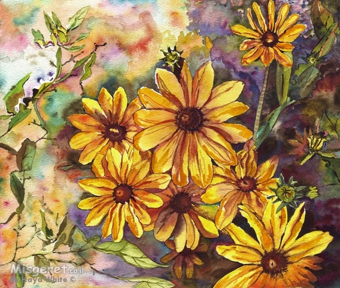 חרציות צהובות