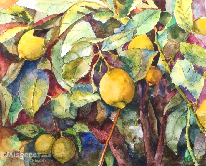 לימונים בכחול