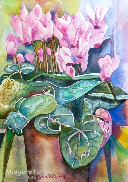 רקפות בעציץ