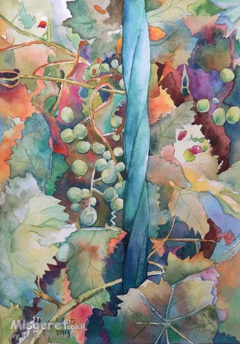 ענבים וסורג