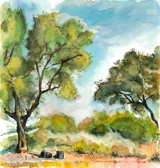 שני עצי זית