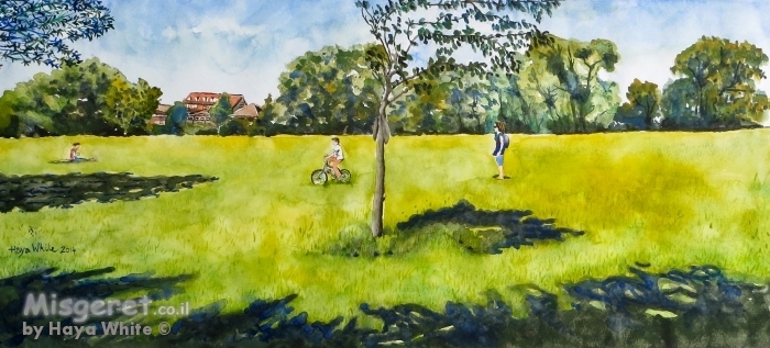 עצים וצללים