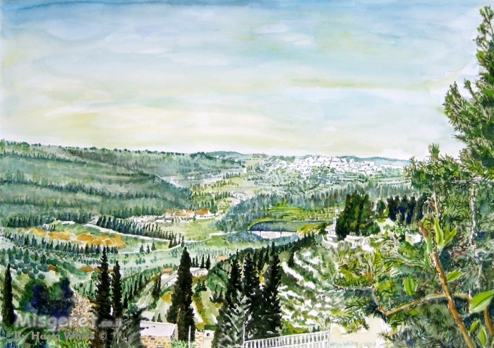 נוף עמק בית זית