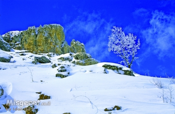 המדרון הקפוא