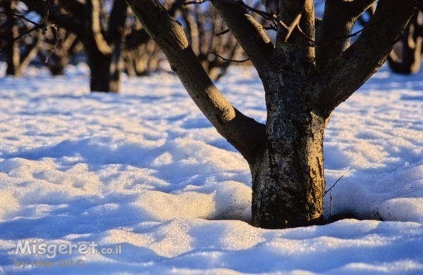הבוקר שלאחר הסערה