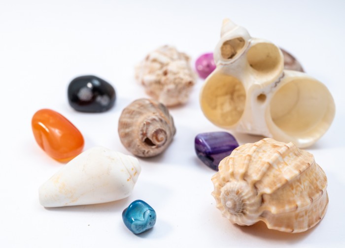 stone and shell