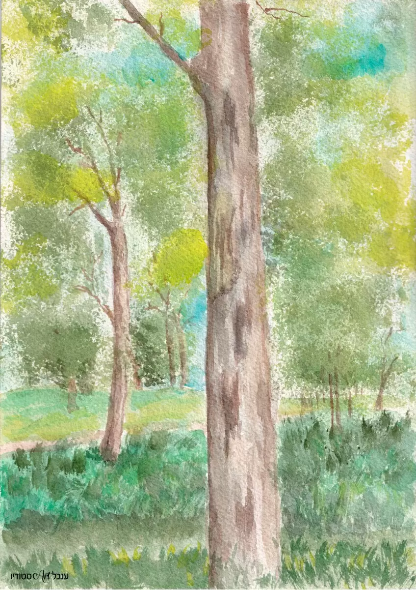 עצי אקליפטוס - ענבל אשואל - תמונות לפינת אוכל כפרית  - מק''ט: 449043