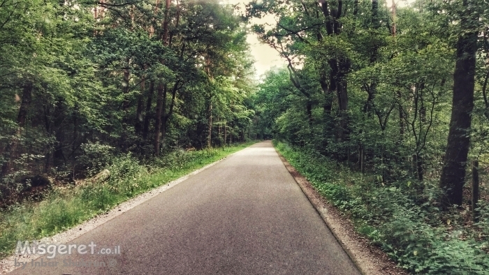 ירוק אורגני