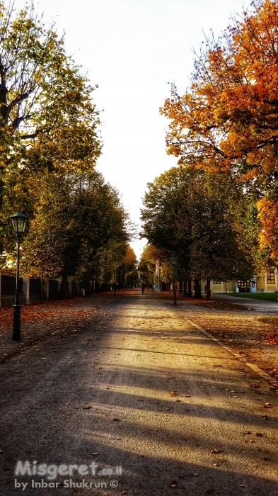 צעידה בסתיו