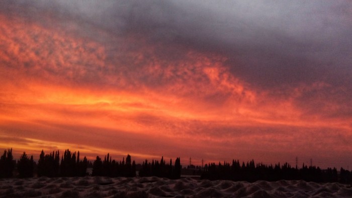 50 גוונים של כתום