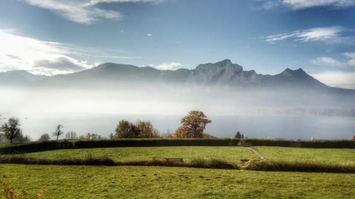 ערפול חושים