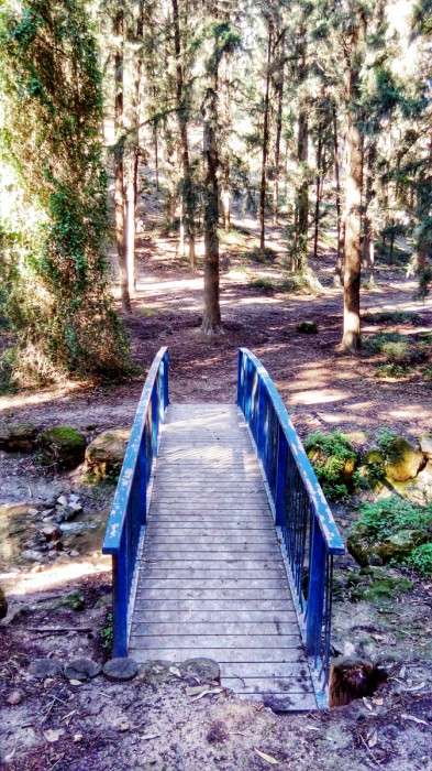 ירוק ישראלי