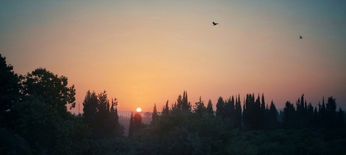 דמיון מפותח