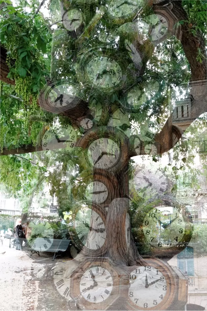 עץ רחב ענפים ושעונים - אירית רוטרובין - שעונים  - מק''ט: 384352