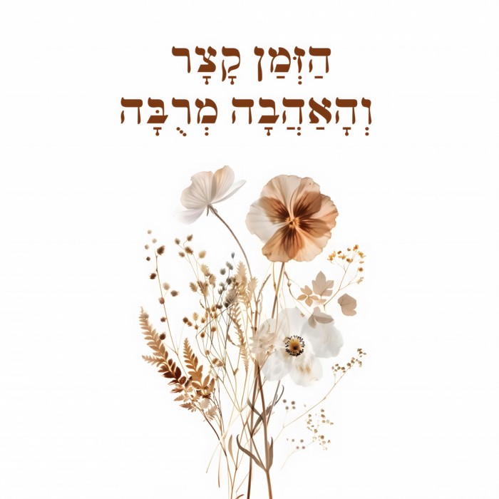 הדמיית תמונה על קיר