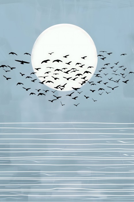 ציפורים נודדות