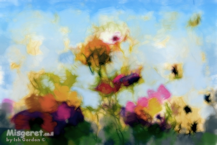 פרחים מהאגדות