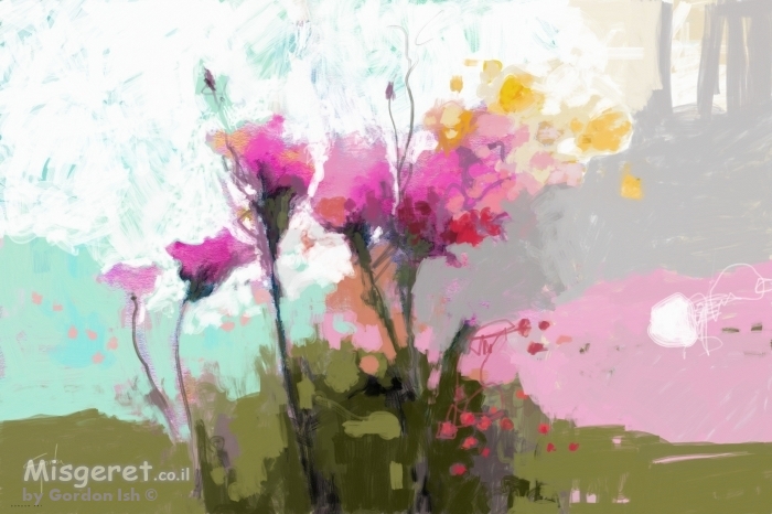 פריחה בוורוד מג'נטה