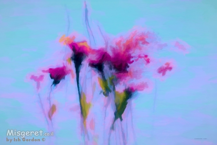 משב הרוח בעלי הכותרת