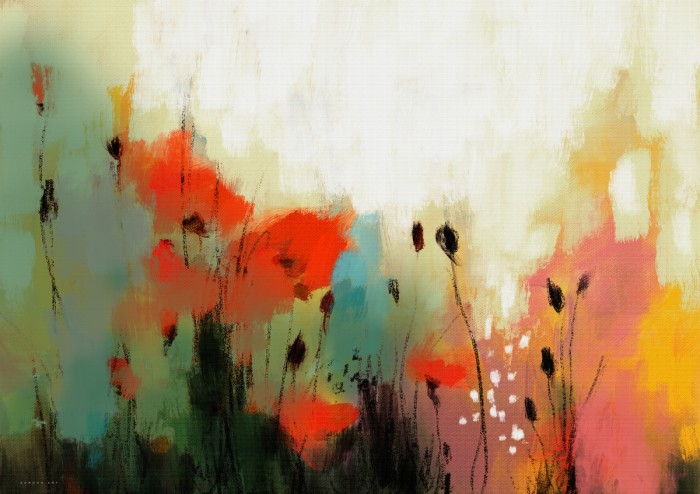 רכות שברירית