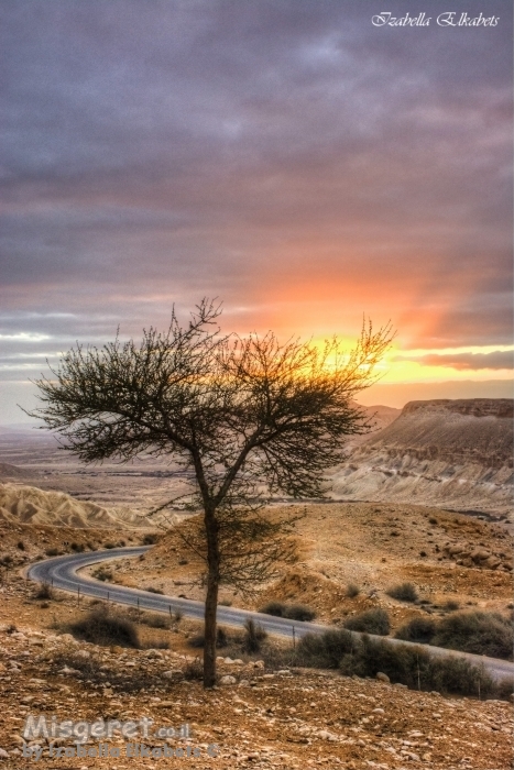 זריחה בשדה בוקר