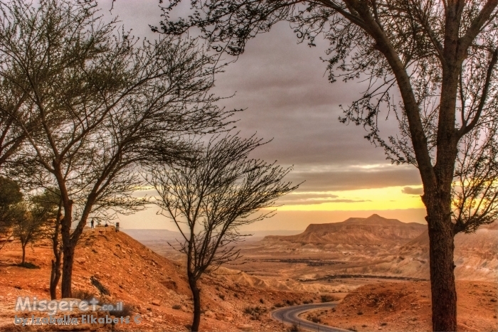 זריחה בשדה בוקר