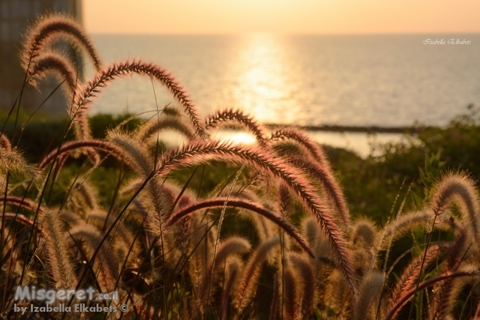לקראת השקיעה