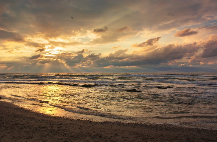 מעוף בשקיעה