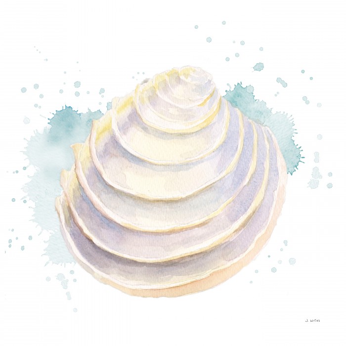 מדרגות בחוף