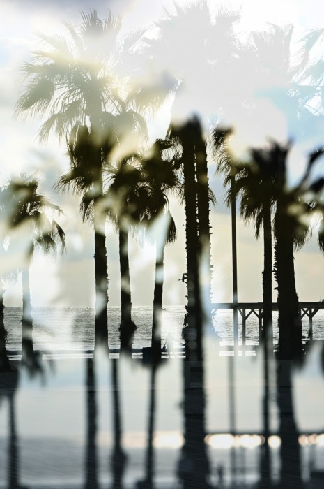 תצפית אשליה