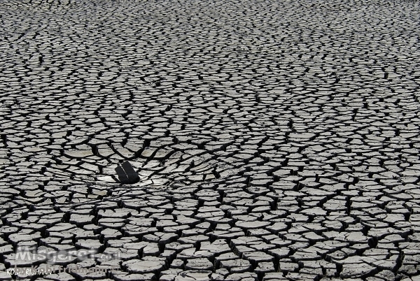 ישראל מתיבשת