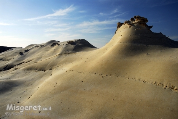 חמוקי ניצנה