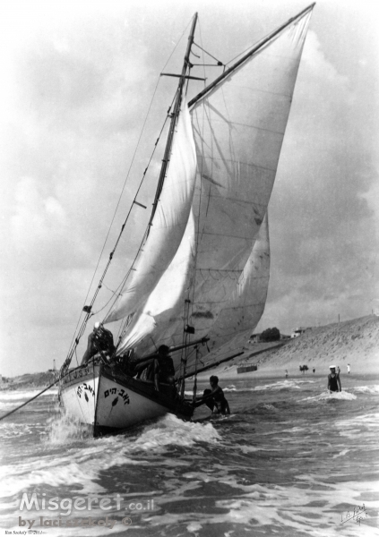 תל אביב 1937 - זאב הים