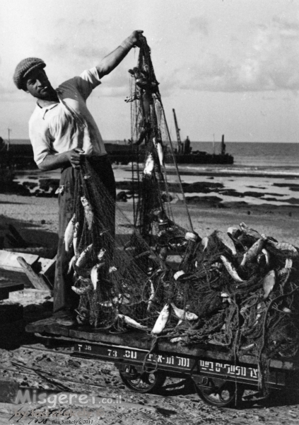 תל אביב 1938 - דיג ושללו