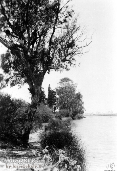 תל אביב 1939 - הירקון