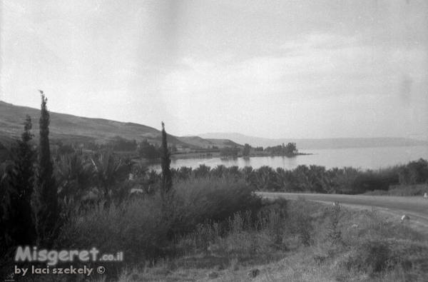 כנרת 1944 - קיבוץ מעגן