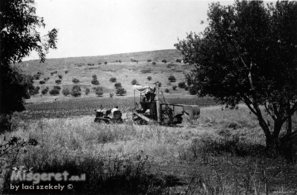 ביתניה 1945 - טרקטור בשדה