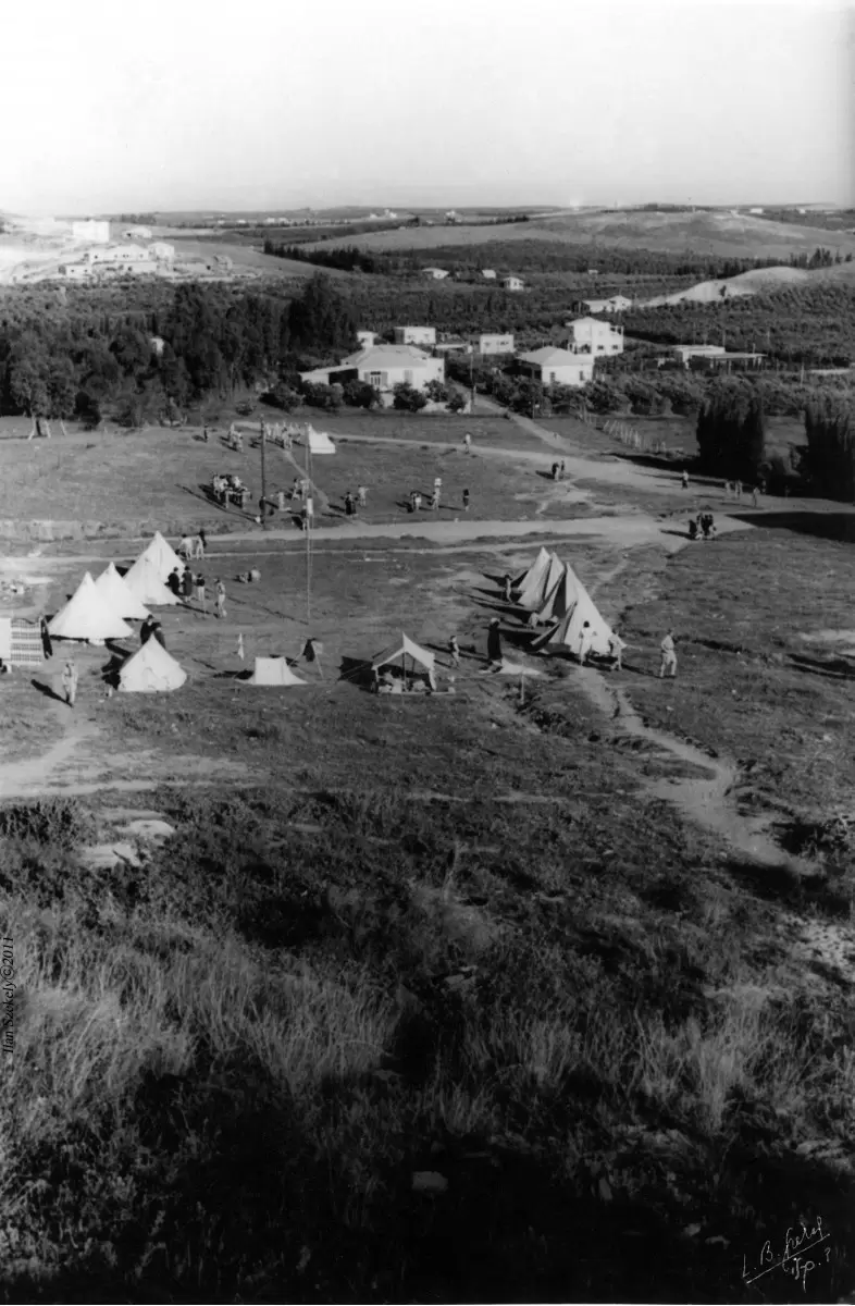 מחנה צופים 1935 - דוד לסלו סקלי -  - מק''ט: 142064